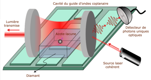 Illustration du dispositif proposé; on y voit le centre azote-lacune d’un diamant à l’intérieur de la cavité optique d’un guide d’ondes coplanaire.