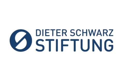 Dieter Schwarz Stiftung Logo