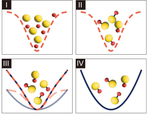 Four illustrated panels. First shows larger yellow circles and smaller orange circles contained in a parabola shaped well drawn with a dotted orange line. Second panel contains same dotted orange line but the yellow and orange circles are attached together to represent molecules made of one yellow circle and one orange circle. Third panel shows molecule representations in a parabola shaped well made from both dotted orange and a grey lines. Panel 4 shows molecules in just a solid grey line parabola.