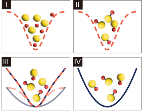 4 illustrations. 1 montre: de ronds jaunes et de ronds orange contenus dans un puits en forme de parabole, représenté par une ligne orange pointillée. 2 contient la même chose, mais les ronds jaunes et orange y sont liés ensemble pour illustrer la formation des molécules. 3 montre: les molécules formées dans un puits en forme de parabole, cette fois représenté par une ligne orange et grise pointillée. 4 montre: les molécules dans une parabole représentée par une ligne pleine grise.