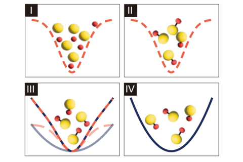Four illustrated panels. First shows larger yellow circles and smaller orange circles contained in a parabola shaped well drawn with a dotted orange line. Second panel contains same dotted orange line but the yellow and orange circles are attached together to represent molecules made of one yellow circle and one orange circle. Third panel shows molecule representations in a parabola shaped well made from both dotted orange and a grey lines. Panel 4 shows molecules in just a solid grey line parabola.