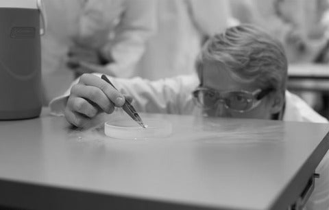 quantum outreach activity