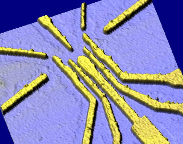  An atomic force microscope image from the team's experiment. 