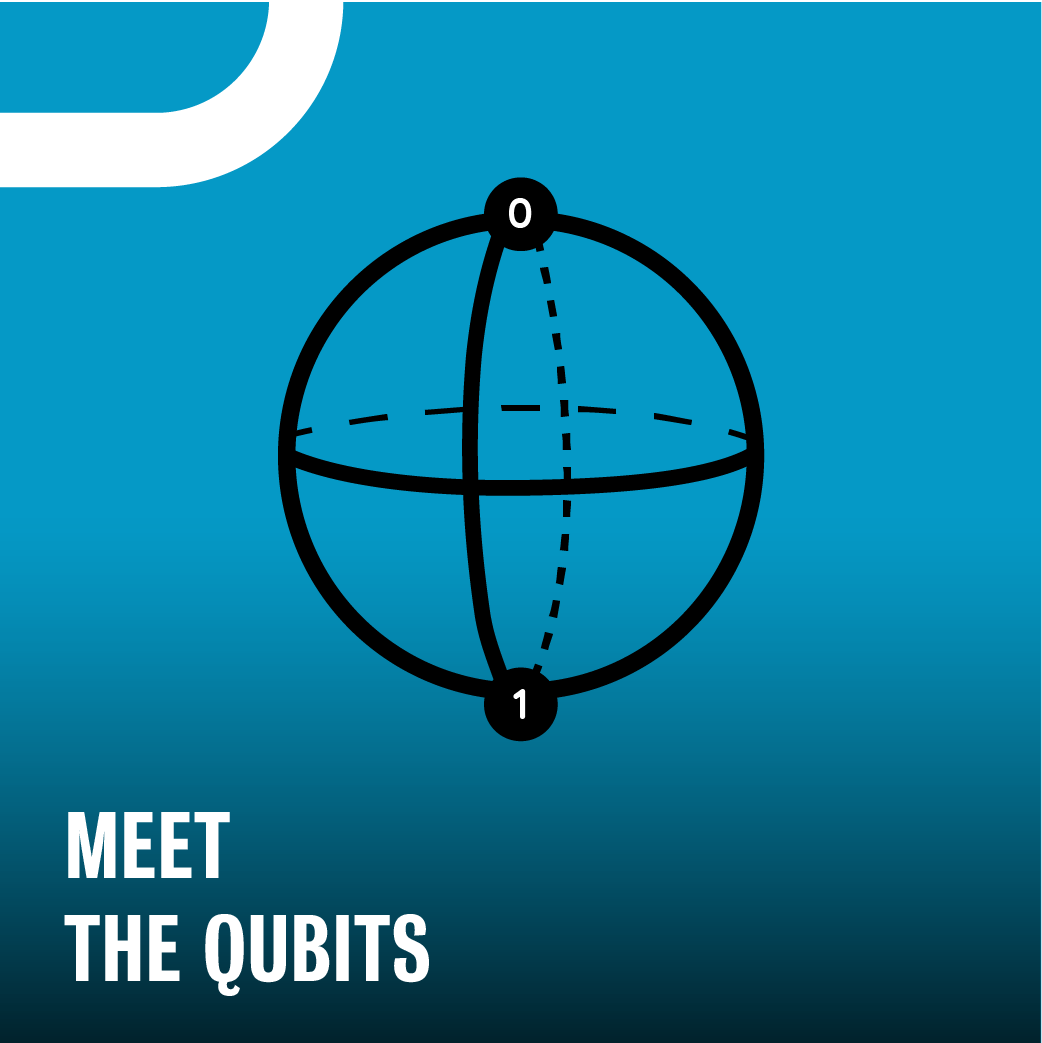 Meet the qubits