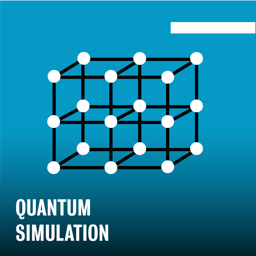 Quantum simulation