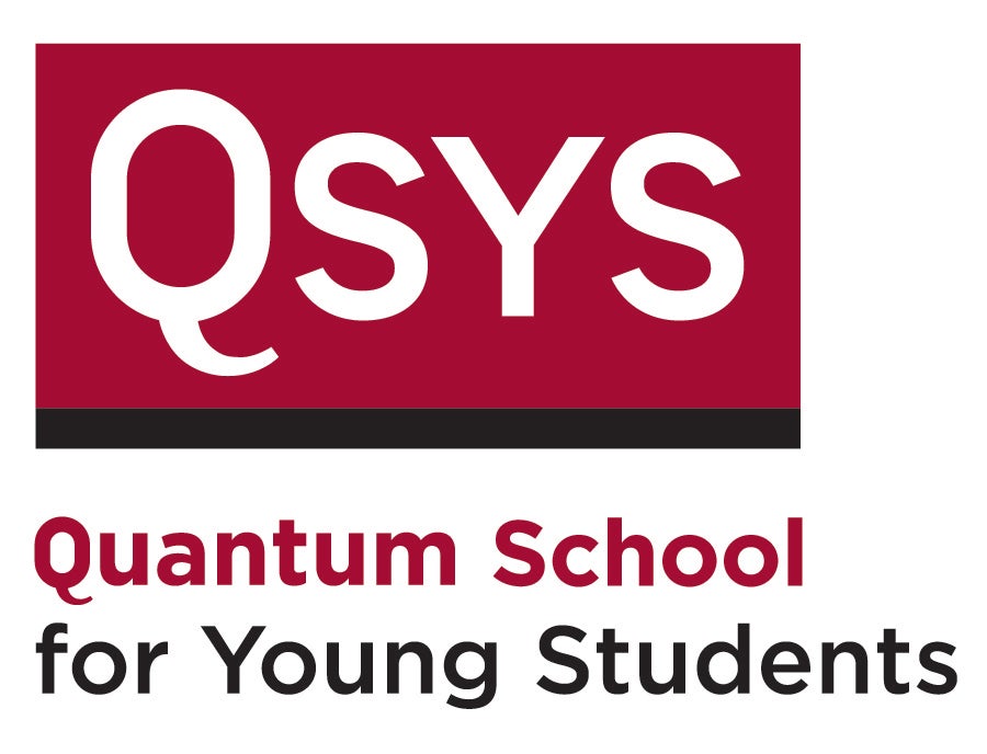 QSYS Logo - Quantum School for Young Students