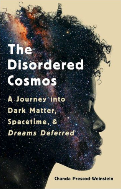 THe book cover of The Disordered Cosmos 