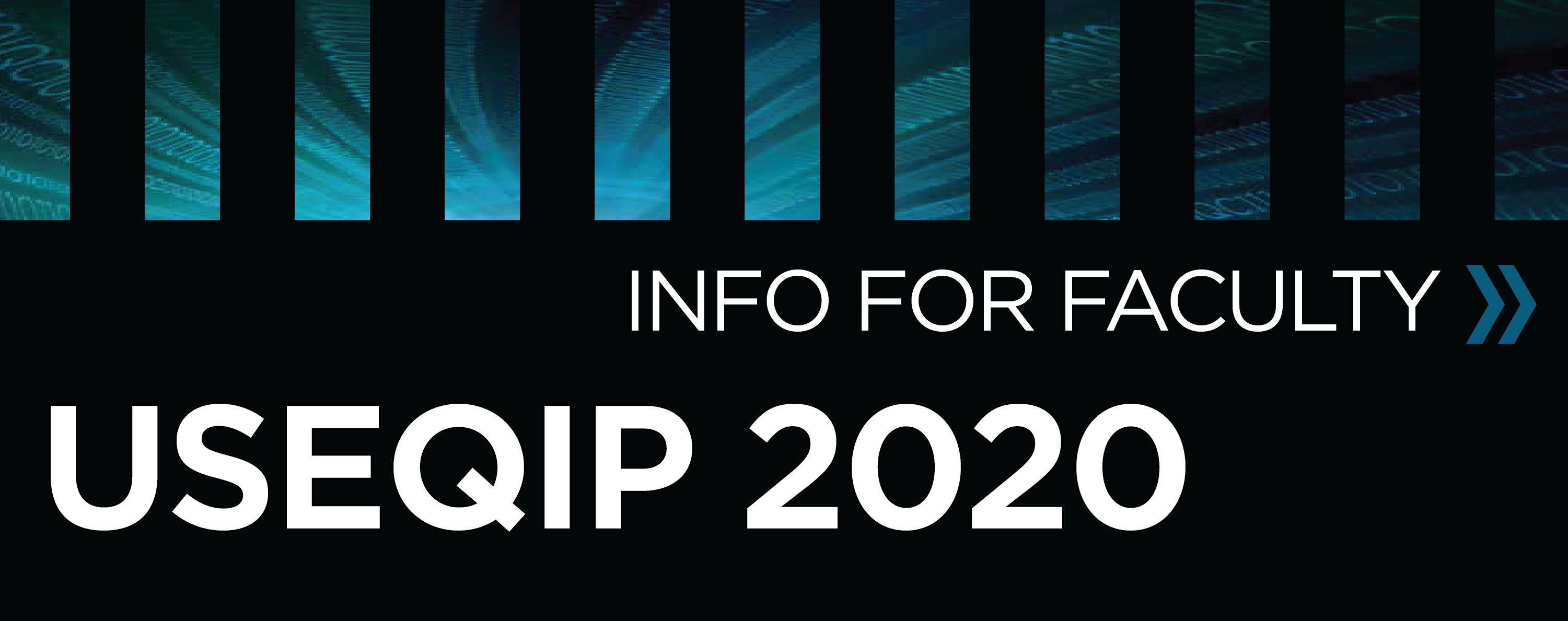 USEQIP 2020 Info for FAculty