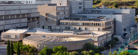 Split University