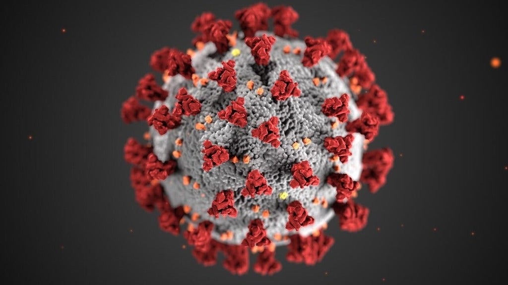 Covid 19 virus image