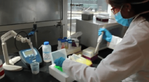 Individual working in lab