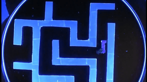 tiny robot in maze