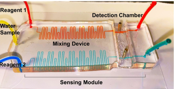 A competitive, bead-based assay combined with microfluidics for multiplexed toxin detection