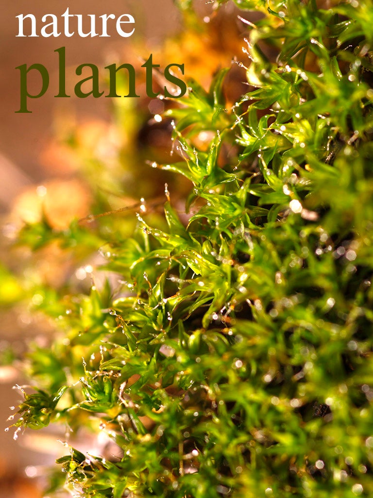 Nature Plants cover