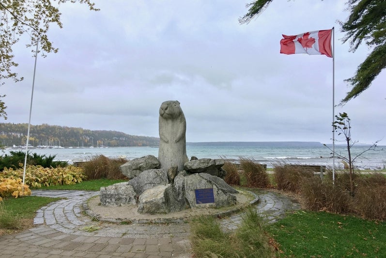 The statue of Wiarton Willie at Lake Huron.
