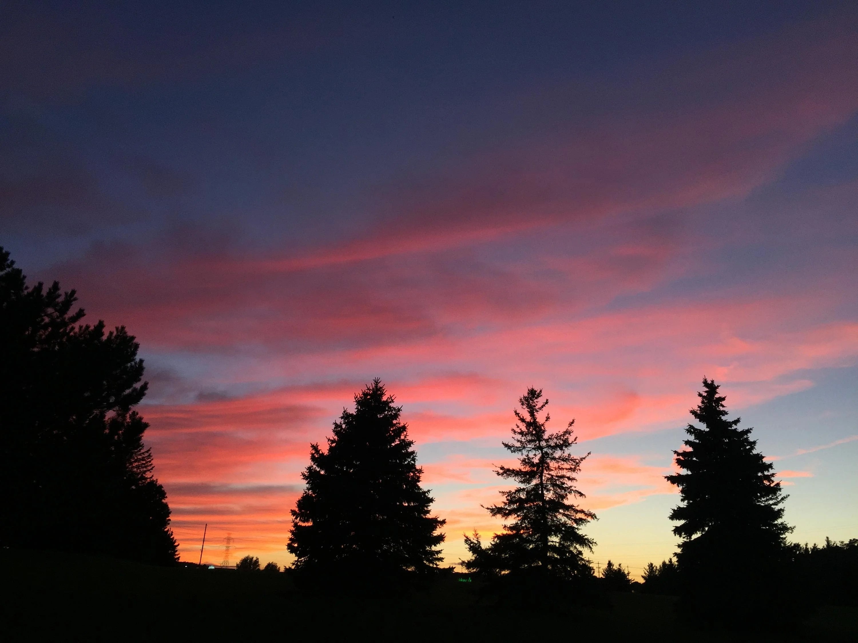 Pink, purple, orange and blue clouds above the treeline at sunset.