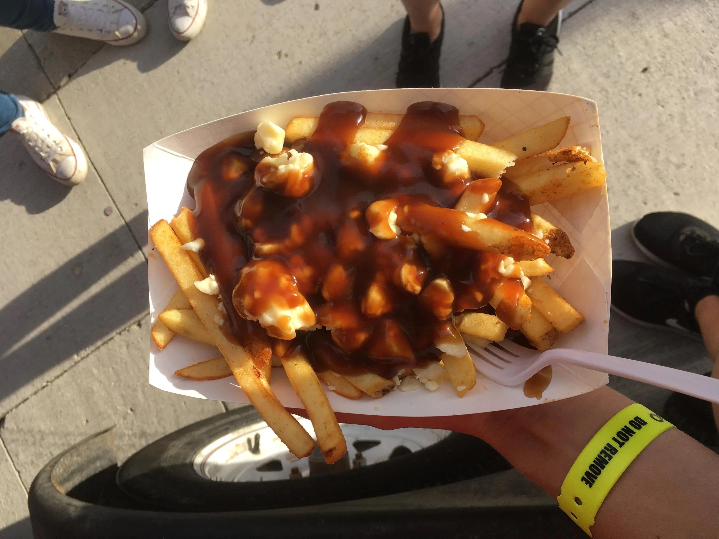 Poutine - a classic Canadian dish of fries with cheese curds and gravy.