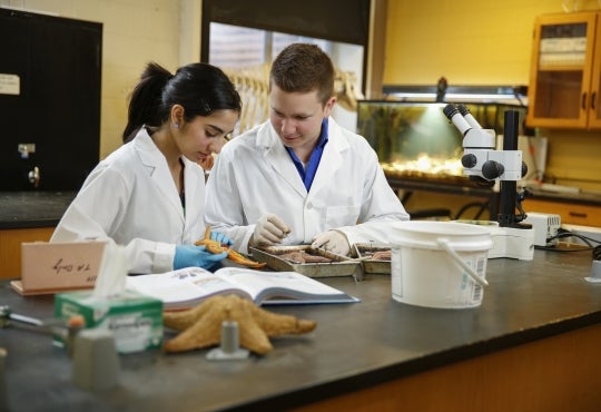students in a lab