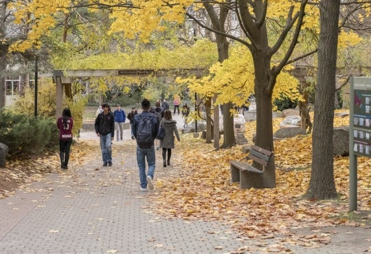 students walking in the fall