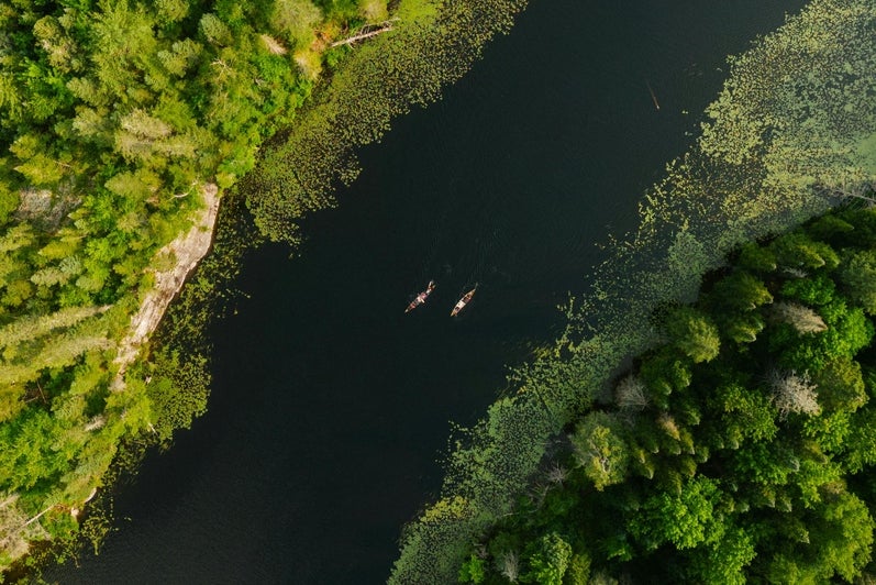 A canoe traversing Algonquin Park