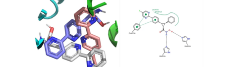 Protein-ligand interactions