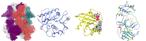 Ion channel, Plastic degrading enzymes, KRAS protein, SARS-CoV2 main protease