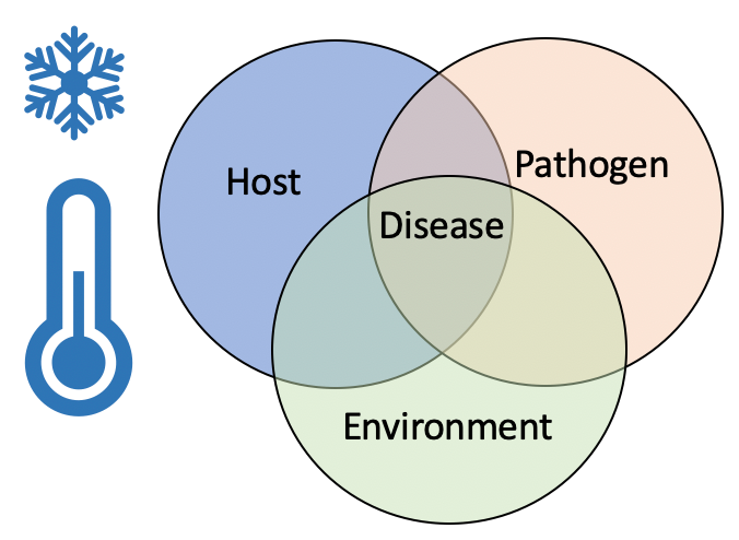 Venn diagram of host-pathogen-environment interaction