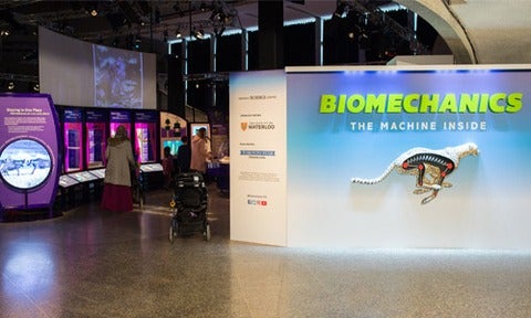 Biomechanics exhibit.