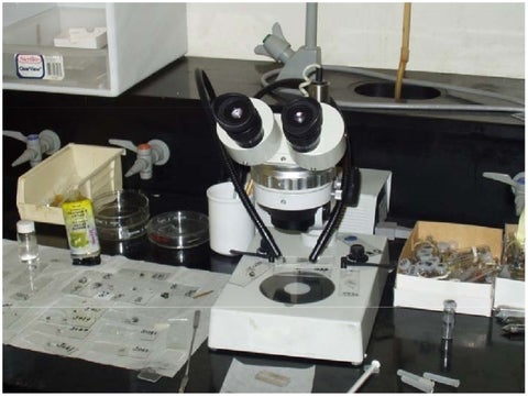 Optical microscope