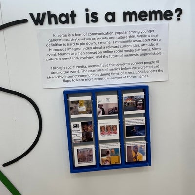 what is a meme?