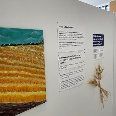 painting of wheat field and wheat stalks