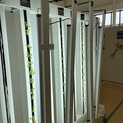 vertical farm with lights and small plants
