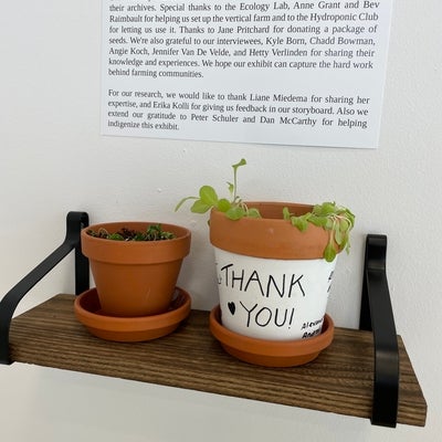 pot with "thank you" written on it and small plant