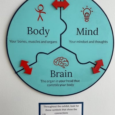 body mind brain connections diagram