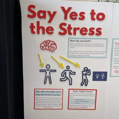 say yes to the stress
