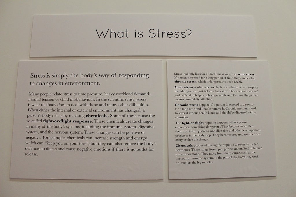 "What is Stress?" exhibit wall.