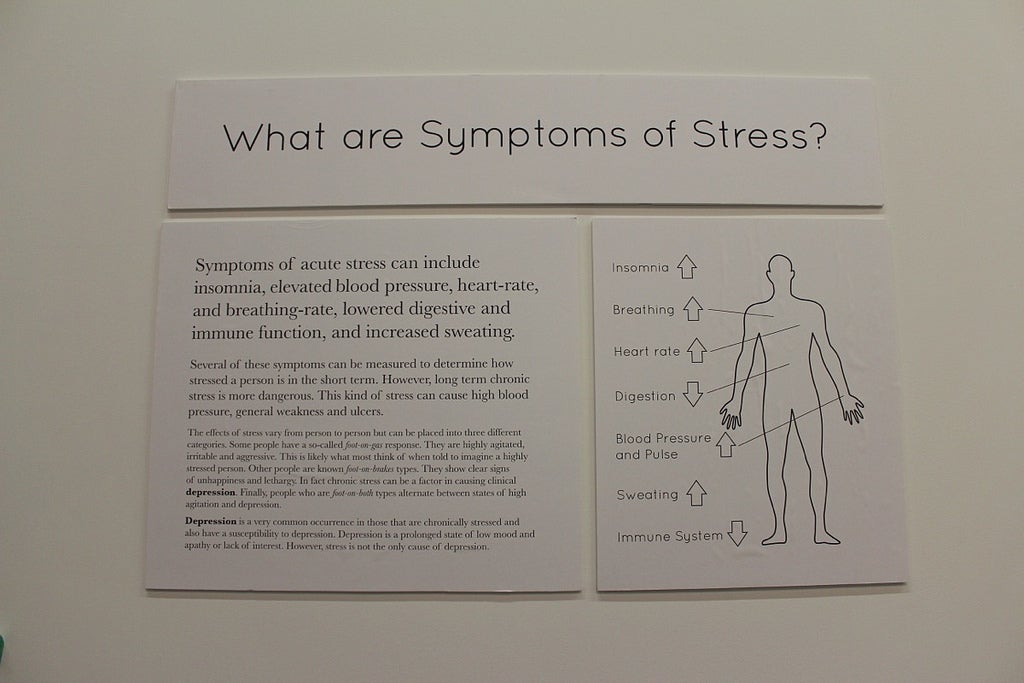"What are the Symptoms of Stress?" exihbit wall.