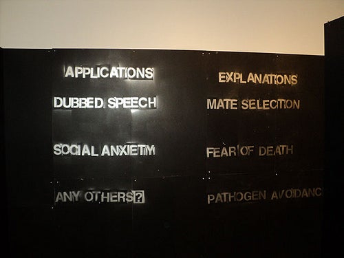 Wall: "Applications", "Dubbed Speech", "Social Anxiety", "Any Others?", "Explanations", "Mate Selection". "Fear of Death".