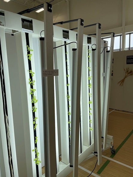 vertical farm with lights and small plants