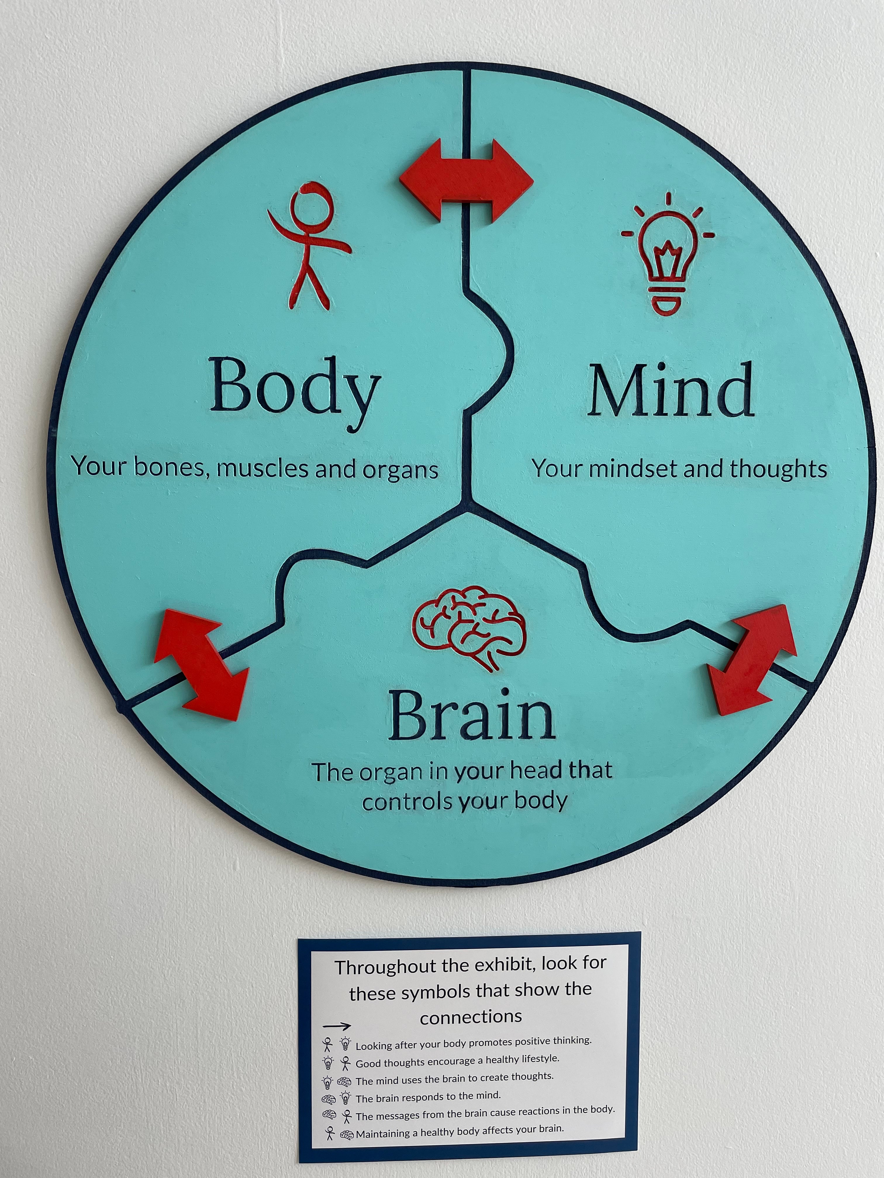 body mind brain connections diagram