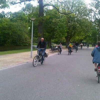 The Morning Commute in Amsterdam: packs of cyclists in neat array using the park's broad paths as thoroughfares.