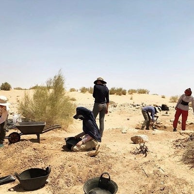 Five people working at a field work site