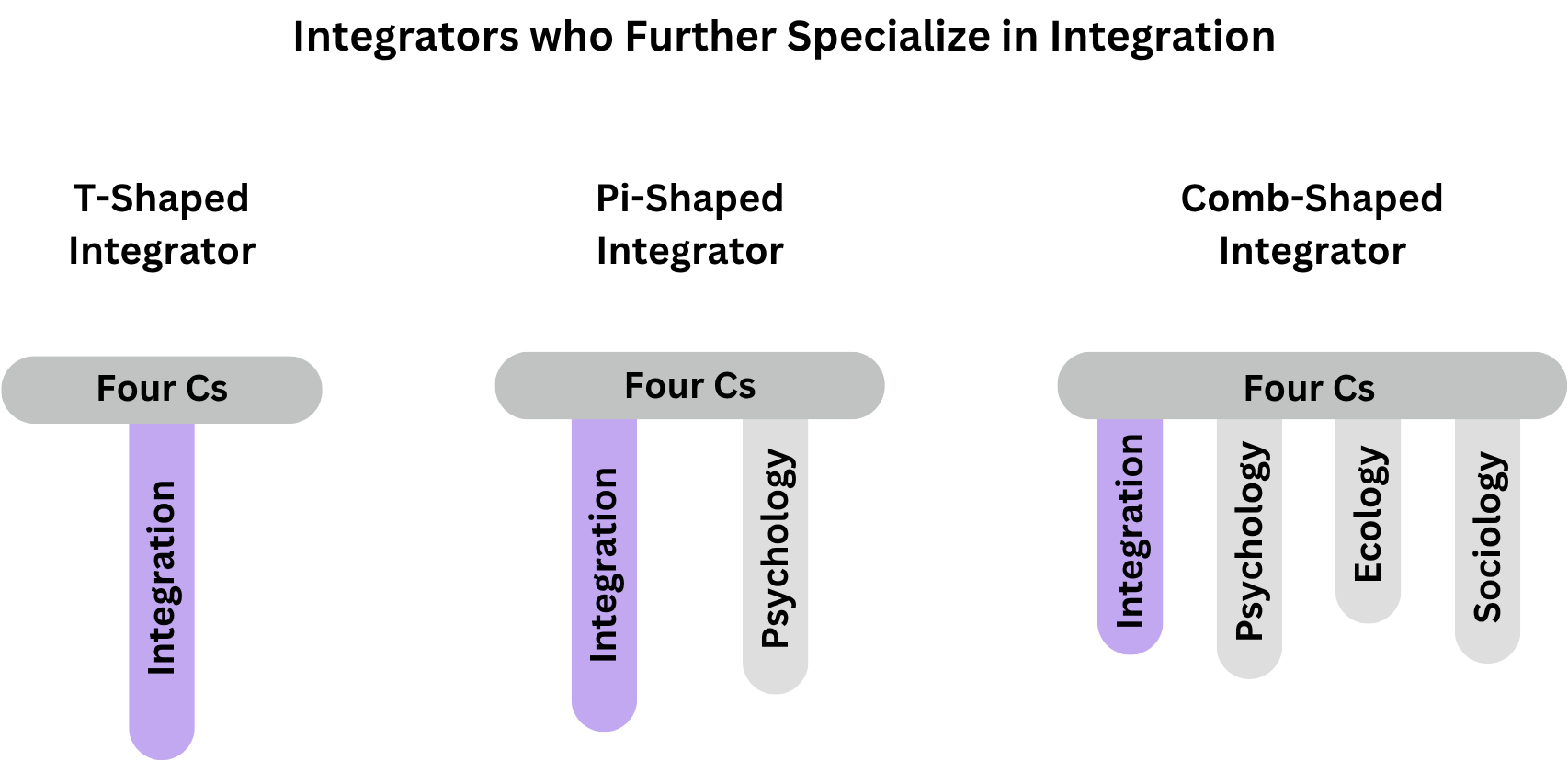 A diagram illustrating that T-, Pi, and Comb-Shaped Integrators can gain depth in integration beyond the Four Cs.