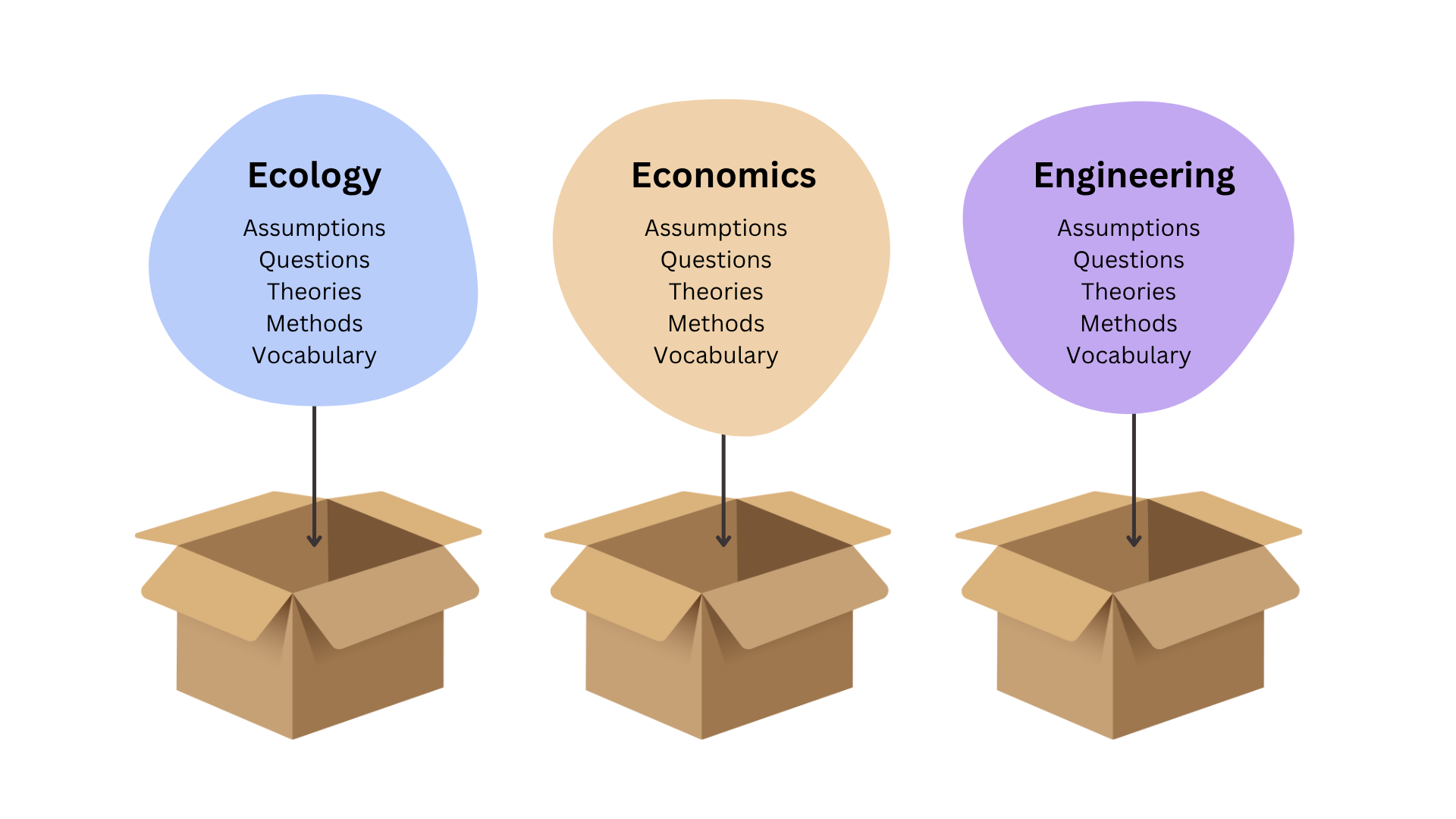 Disciplinary knowledge being put into boxes.