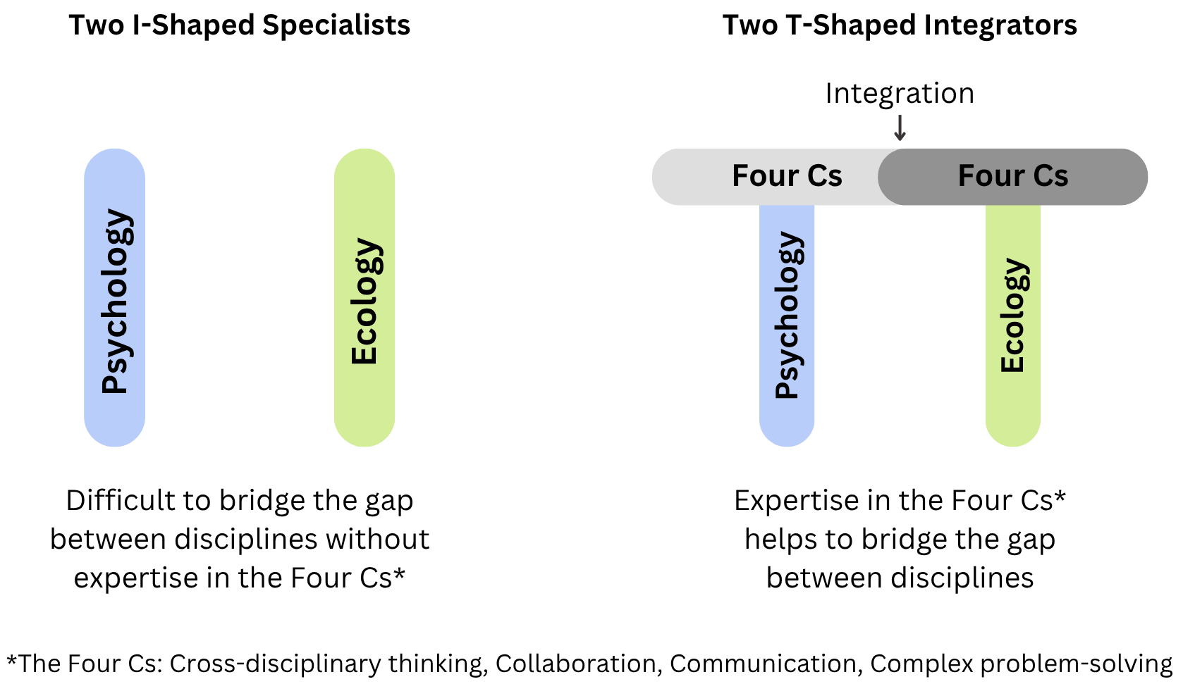 Two I-Shaped Specialists contrasted with two T-Shaped Integrators.