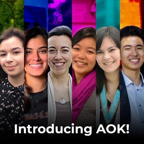 Introducing AOK! image of the working group members