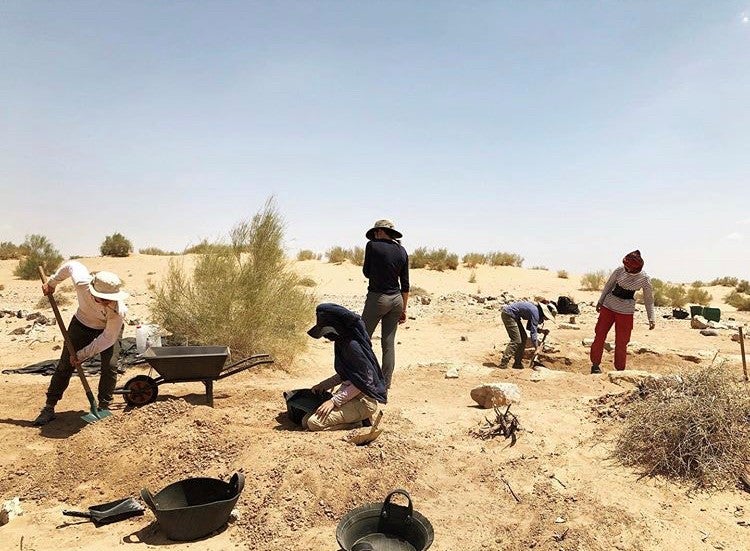 students doing archaeological field work in Jordan