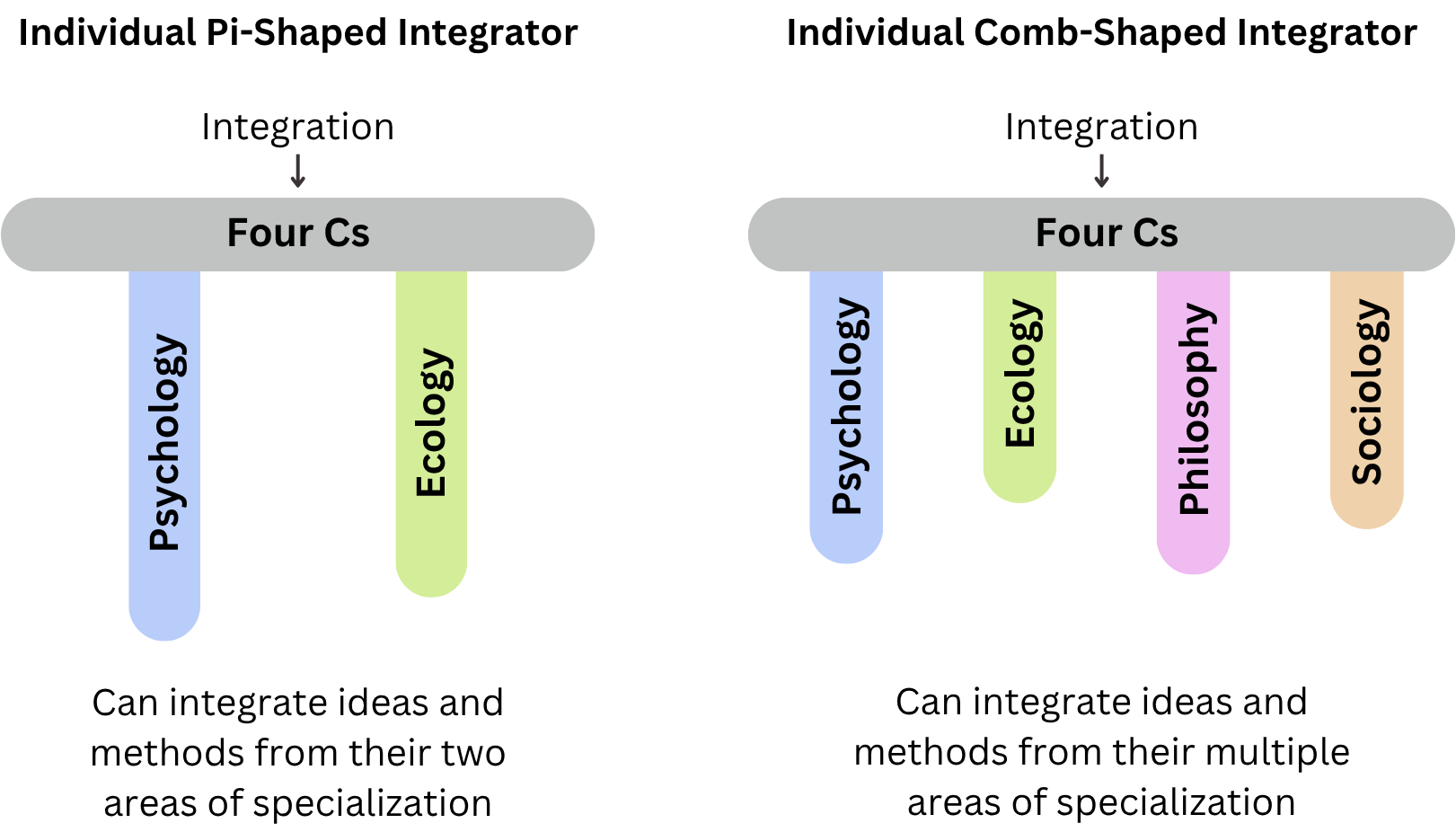 A diagram illustrating that Pi- and Comb-Shaped Integrators can integrate knowledge at the individual level. 