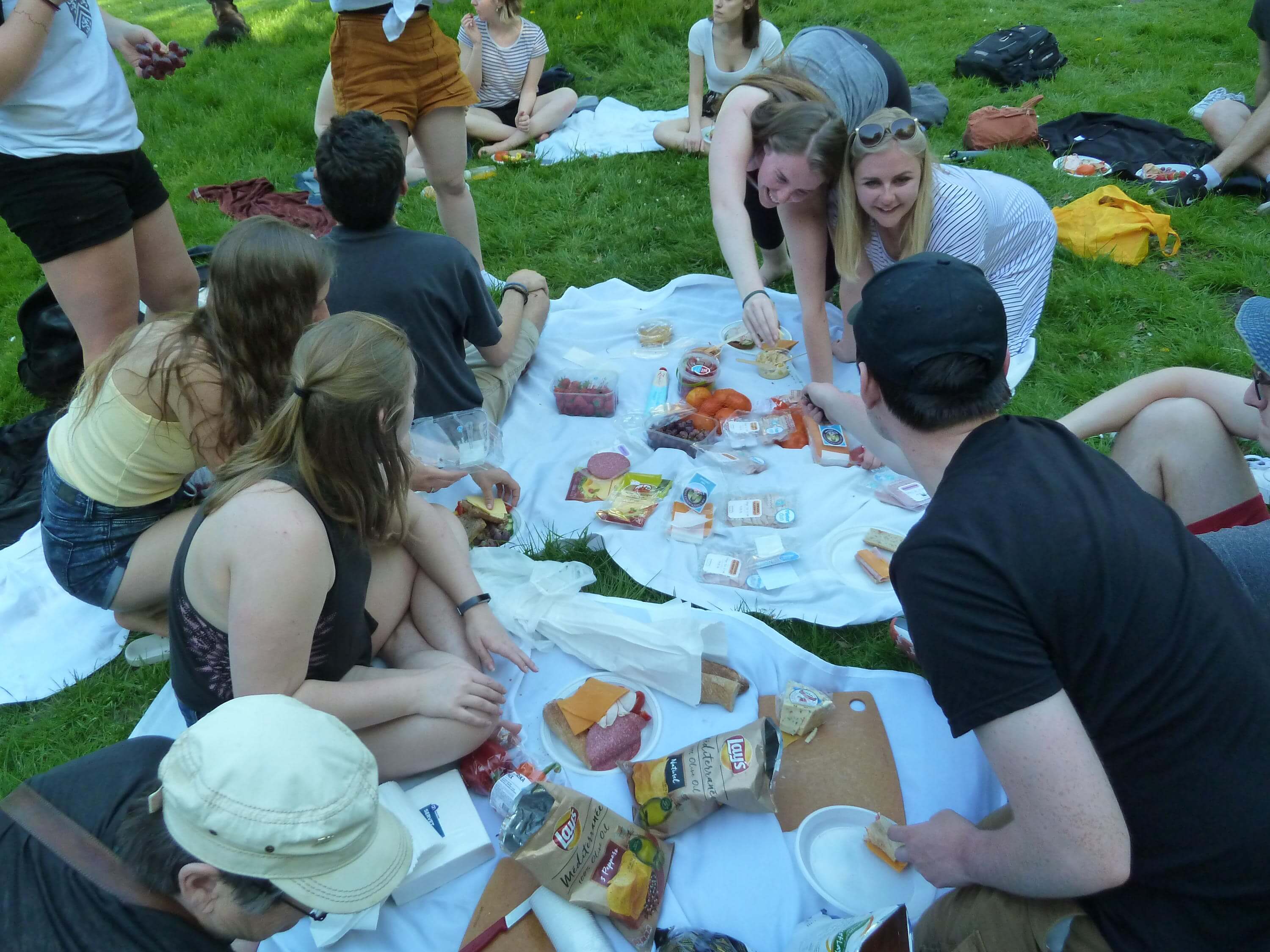 Students eating at a potluck picnic in the park