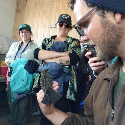 Banding birds at the Long Point Bird Observatory